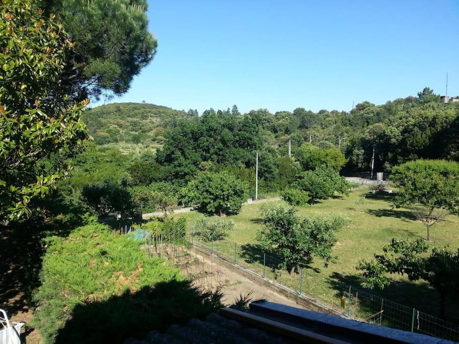 Appartement Au Fond Du Jardin Saint Jean du Pin Luaran gambar